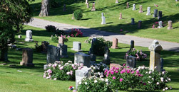 Skyview Memorial Lawn